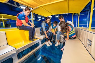 Dubai Aquarium and Underwater Zoo ultimate experience